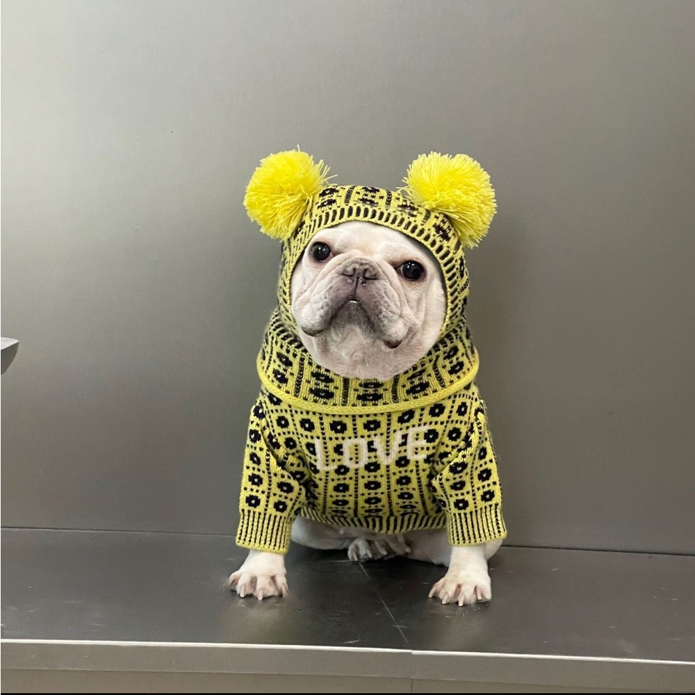 Dog Knit Sweater With Matching Hat